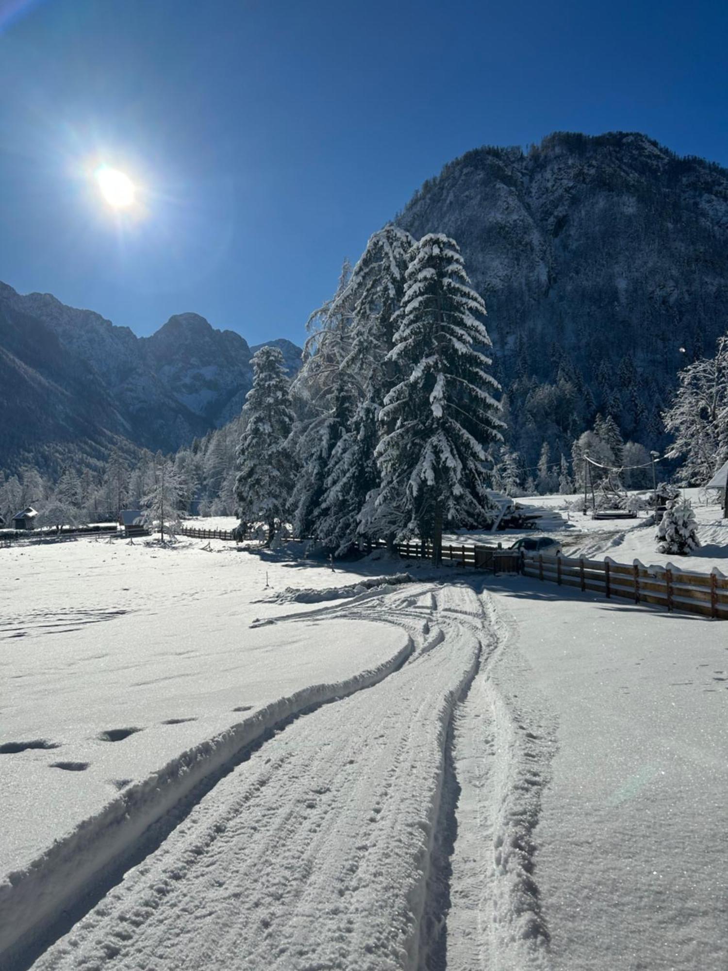 Radovna Chalet With Panoramic View Mojstrana Luaran gambar