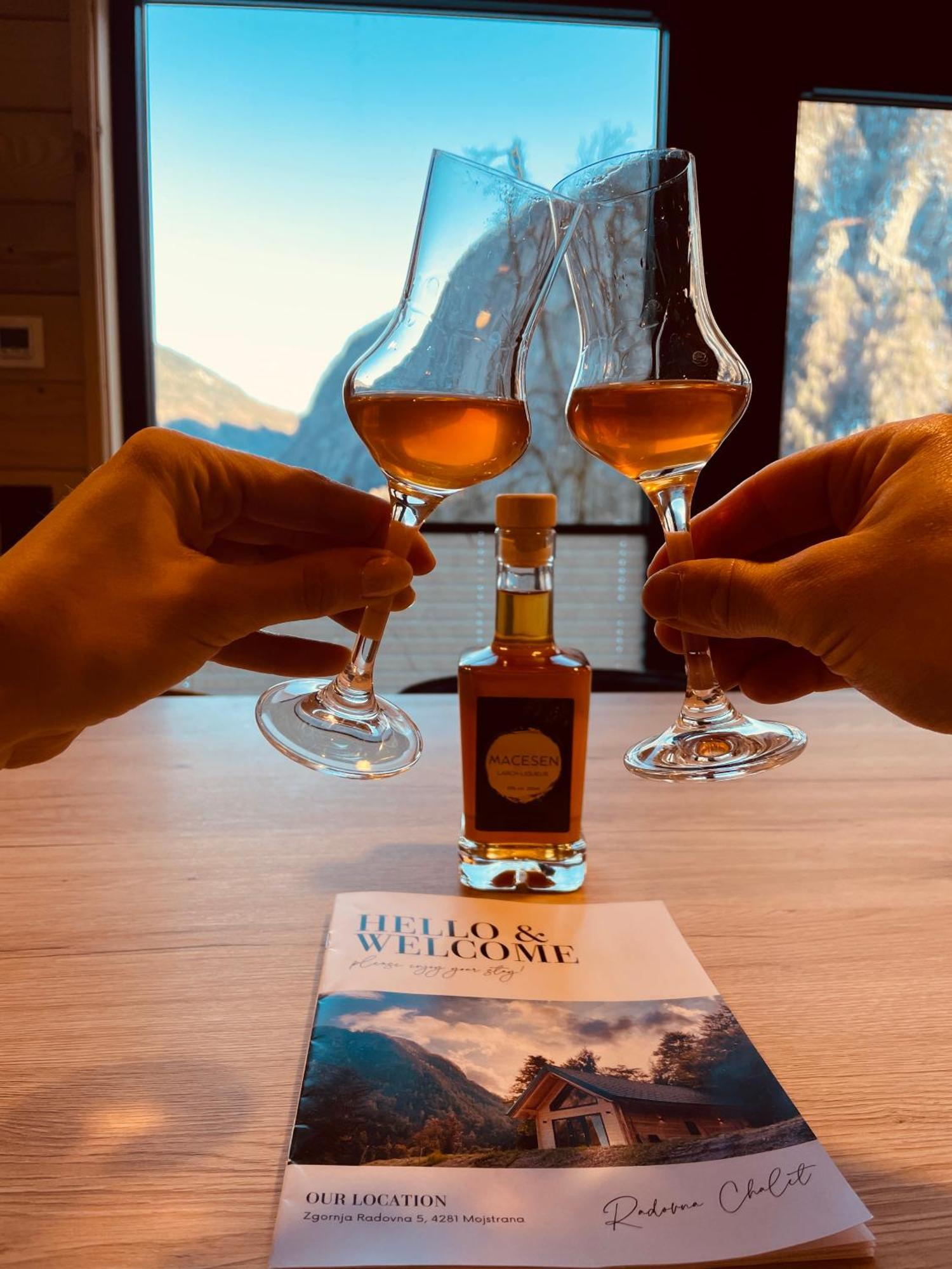 Radovna Chalet With Panoramic View Mojstrana Luaran gambar